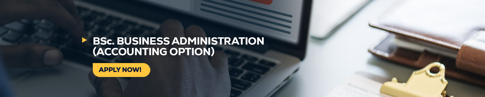 BSc Business Administration Accounting Option
