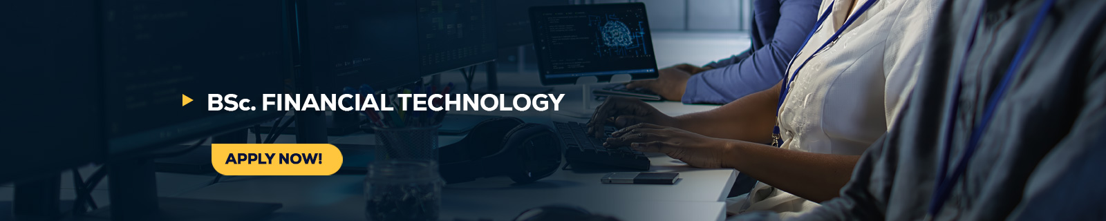 BSc Business Financial Technology